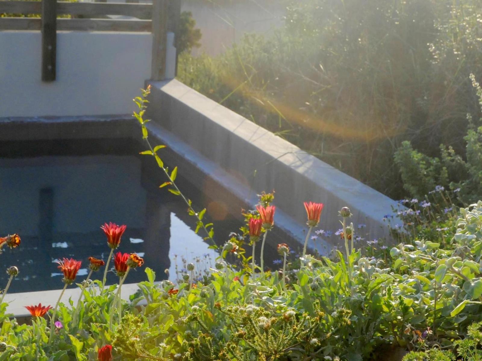 Christiana Lodge Plettenberg Bay Room photo